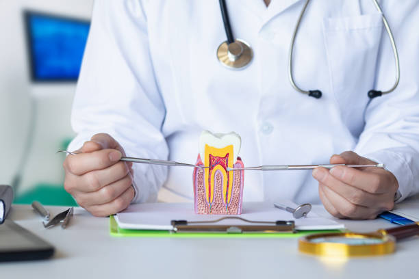 Best Emergency Tooth Extraction in Mountain Brook, AL